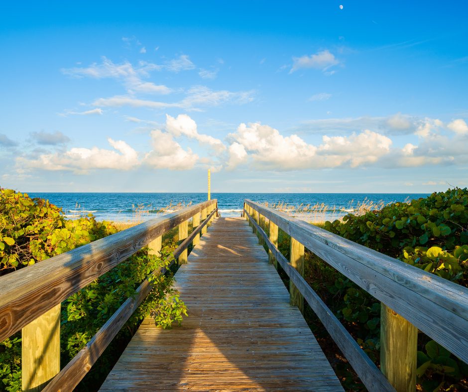 Untitled design (39)