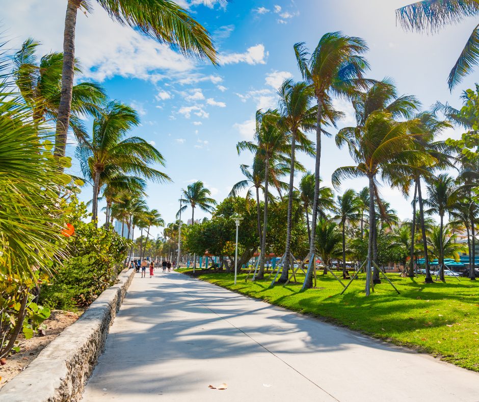 Untitled design (41)